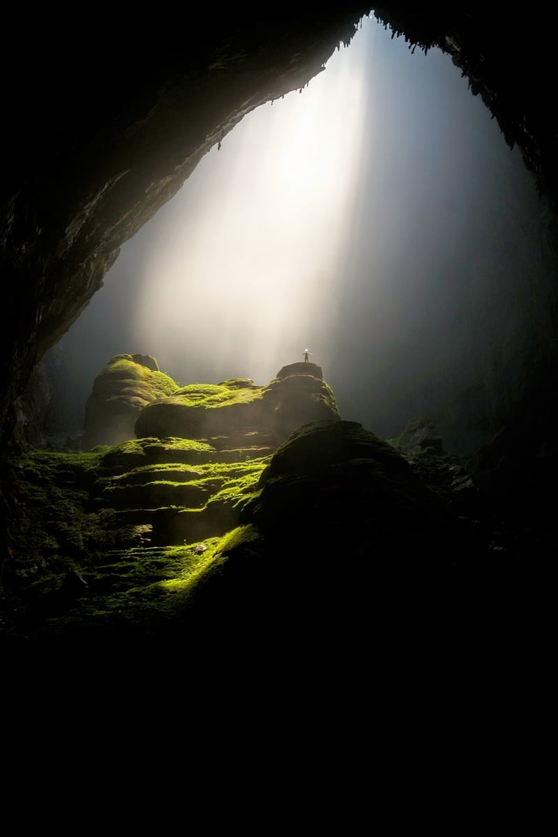 Enchanted Forest